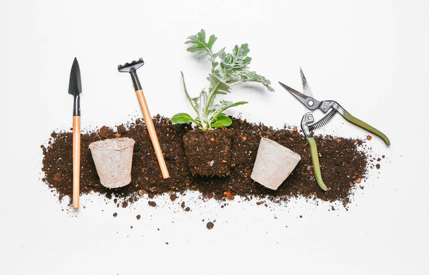 Set tuingereedschappen met plant en grond op witte ondergrond - Foto, afbeelding