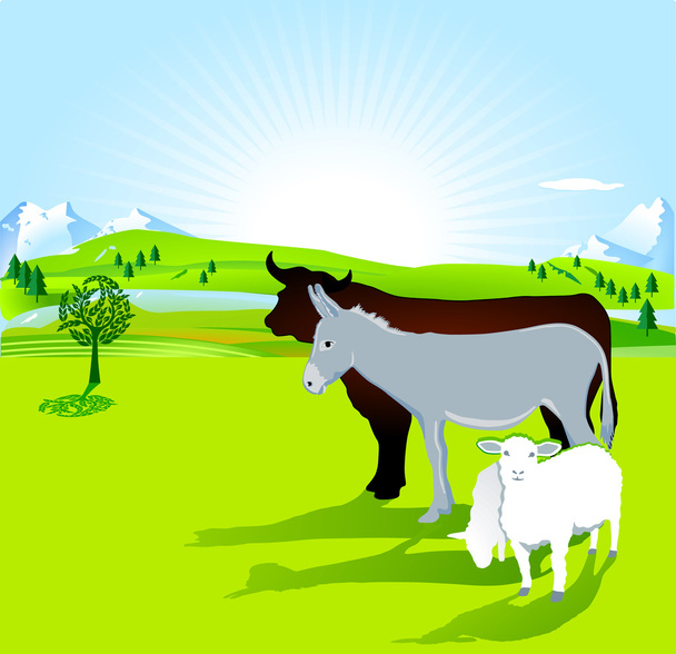 osioł, byk i jagnięcina - Wektor, obraz