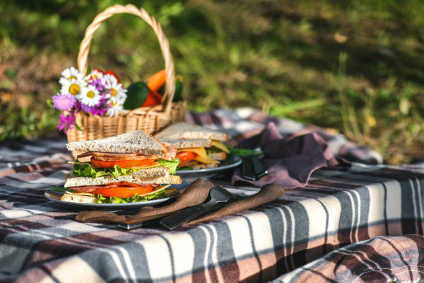 Picnic with sandwiches in park or forest. Toast bread, cheese, ham, sausage, tomatoes, salad leaves. Weekend party, sunny day - Fotoğraf, Görsel