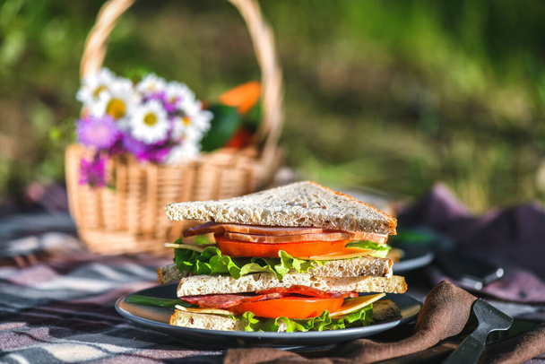 Picnic with sandwiches in park or forest. Toast bread, cheese, ham, sausage, tomatoes, salad leaves. Weekend party, sunny day - Foto, imagen
