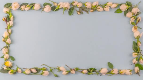 Kleine witte rozen en bladeren bewegen in loop-able stop beweging naar een rechthoekig frame met pastelblauwe achtergrond en kopieer ruimte - Video