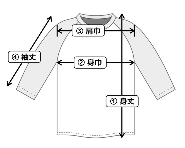 ragran shirt illustration for size chart - Vector, Image