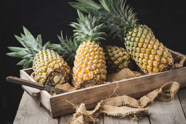 Fresh pineapples on the dark background - Foto, Imagem