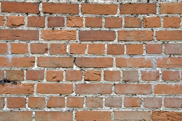 Brickwall - Фото, изображение