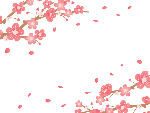 Kiraz çiçekleri arkaplan çizimi (bahar mevsimi teması )  - Vektör, Görsel