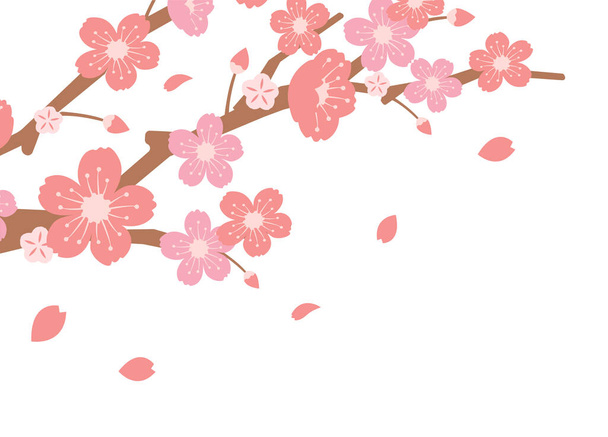 Ilustración de ramas de flores de cerezo (tema temporada primavera
 ) - Vector, Imagen