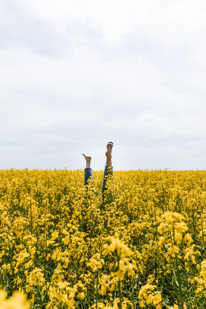 обрезанный вид босиком женщины рядом с цветущими полевыми полевыми полевыми полевыми цветами
  - Фото, изображение
