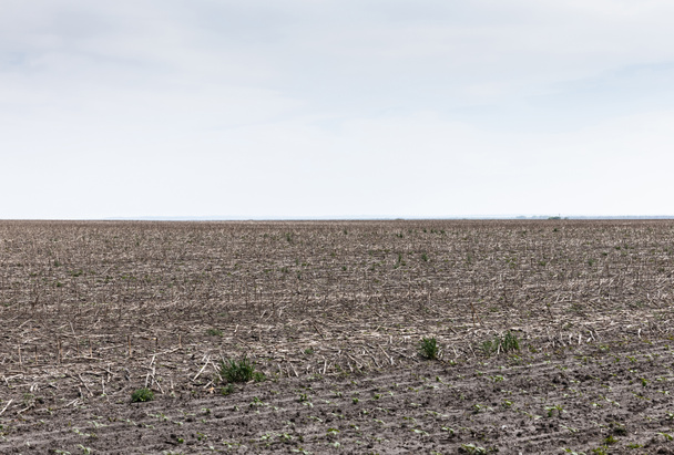 země se zelenou trávou a půdou proti modré obloze  - Fotografie, Obrázek