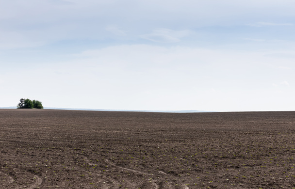 земля с землей на фоне голубого неба и облаков
  - Фото, изображение