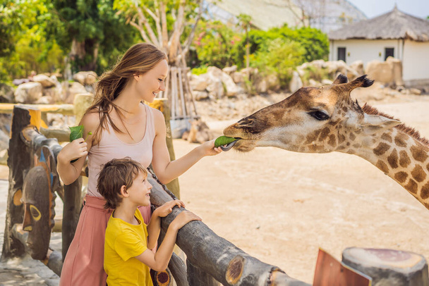 Happy mother and son watching and feeding giraffe in zoo. Happy family having fun with animals safari park on warm summer day - Valokuva, kuva