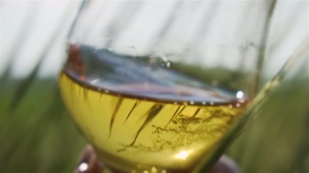 La mano sostiene el vaso con vino blanco y el sol brilla maravillosamente a través de la copa
 - Metraje, vídeo