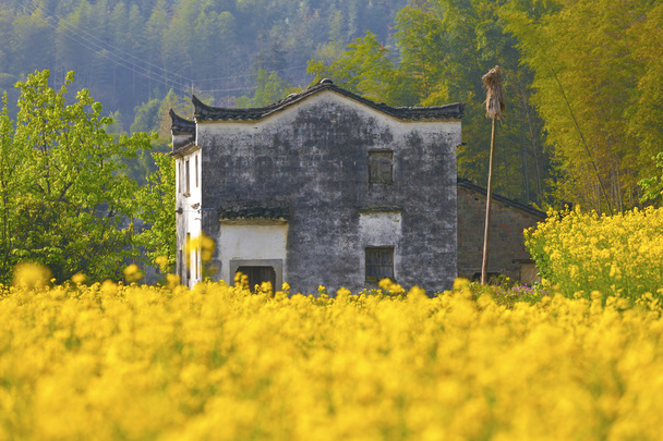 wuyuan vidéki táj - Fotó, kép