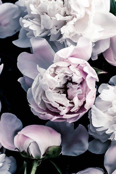 Pastelové pivoňkové květy jako květinové umělecké pozadí, botanické flatlay a luxusní značkování - Fotografie, Obrázek