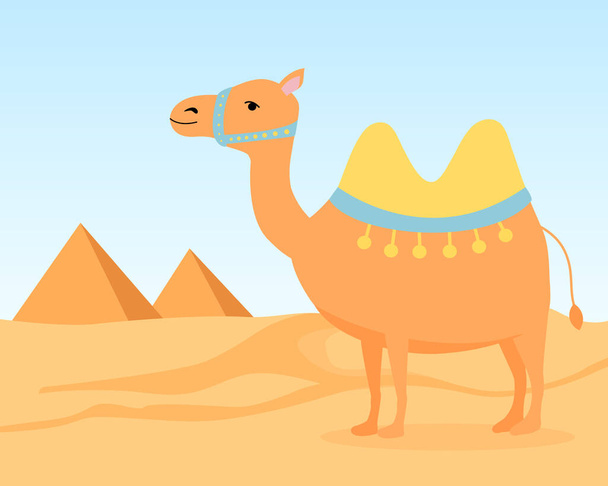 Cute camel in the desert. Pyramids on horizon. Vector. - Vector, Image