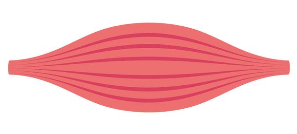 Gezonde spierweefsel platte illustratie - Vector, afbeelding