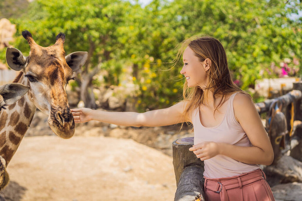 Happy woman watching and feeding giraffe in zoo. She having fun with animals safari park on warm summer day - Photo, Image