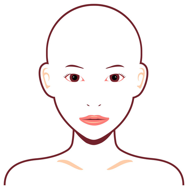 Joven mujer asiática cara vector ilustración / cabeza de la piel, sin pelo
 - Vector, imagen