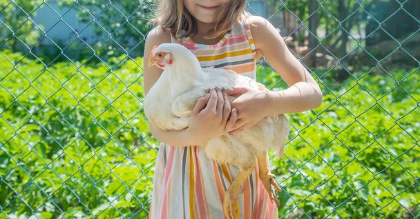 Uma criança numa quinta com uma galinha. Foco seletivo
. - Foto, Imagem