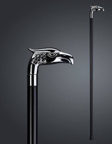 Walking stick and crutches with a handle in the form of eagle. High quality photo - Zdjęcie, obraz
