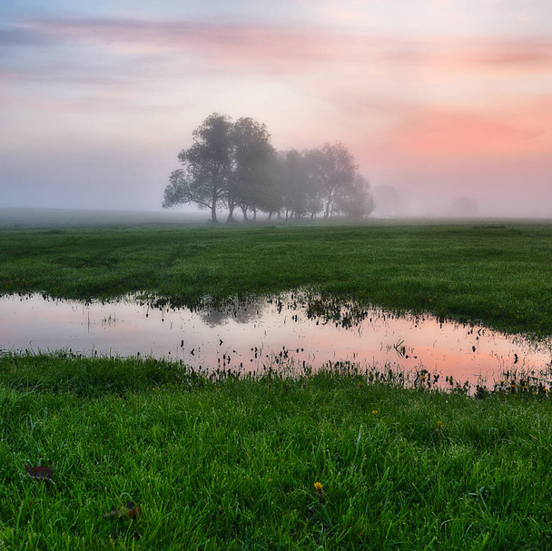 ranní mlha na řece - Fotografie, Obrázek