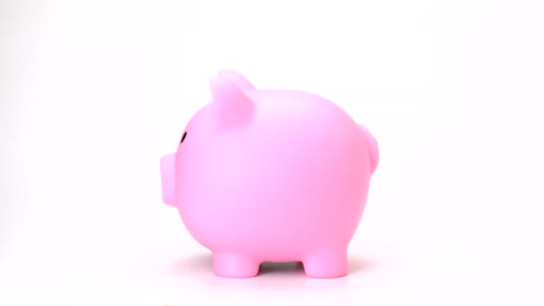 saving money on pink piggy bank isolate. side view of hand putting coin into pig doll bank on white background- 4k, 1080, fhd, full hd - Footage, Video