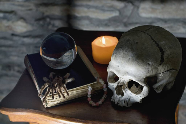 Оккультные мистические ритуальные реликвии - череп человека, свеча, кристаллический шар, старая книга и паук
 - Фото, изображение
