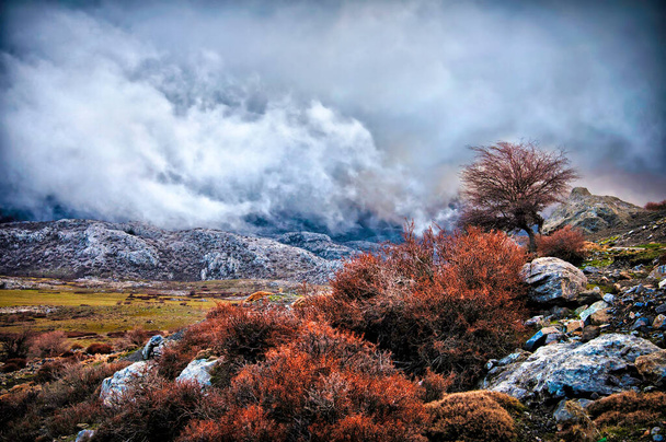 Удивительные горные пейзажи критской природы с ее зеленью, растительностью и камнями, низкие облака завернуты в холмы
.  - Фото, изображение