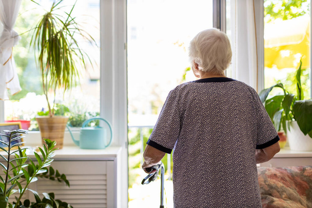 Вид сзади на пожилую женщину с ходячей рамой дома
 - Фото, изображение