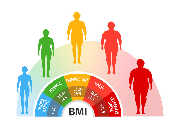 Testtömeg index. Fogyás. Különböző súlyú test. Különböző elhízási fokozatú ember. - Vektor, kép
