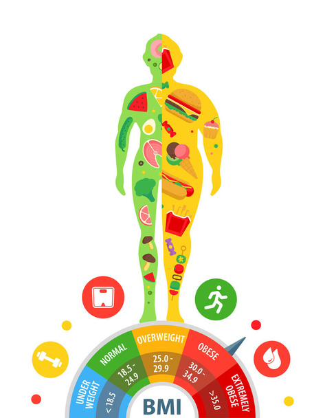 ボディマスインデックス。体重が違う体。栄養が人の体重に与える影響。重量損失. - ベクター画像