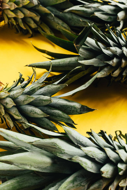 green pineapple leaves on yellow background - Fotó, kép