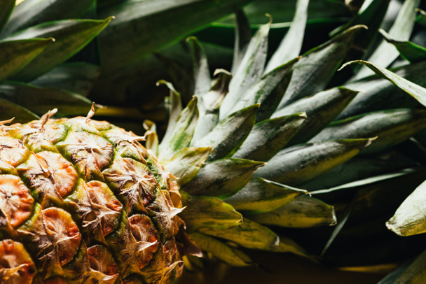 close up view of fresh ripe pineapple with green leaves - Fotografie, Obrázek
