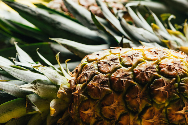 selective focus of fresh ripe pineapple with green leaves - Foto, afbeelding