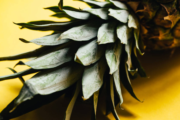 close up view of green leaves on pineapple on yellow background - Photo, Image