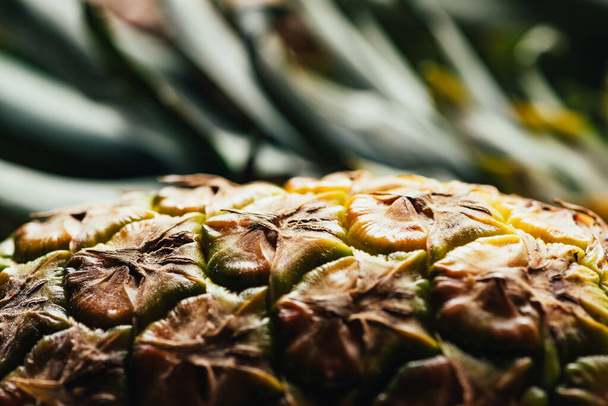 close up view of textured peel of pineapple - Foto, Imagem