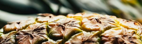close up view of textured peel of pineapple, panoramic shot - Zdjęcie, obraz