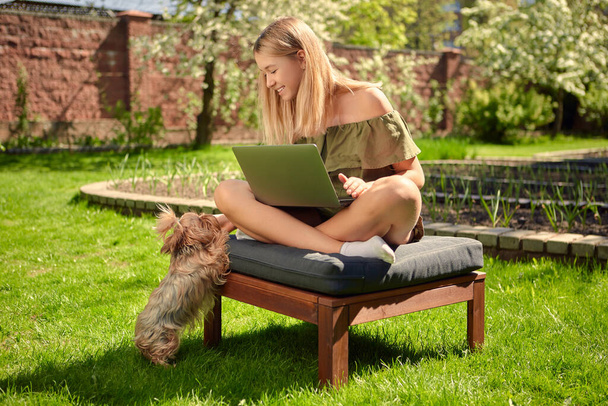Creative young girl blogger working on a laptop on content sitting in the backyard of a house in the garden on a lawn. - Zdjęcie, obraz