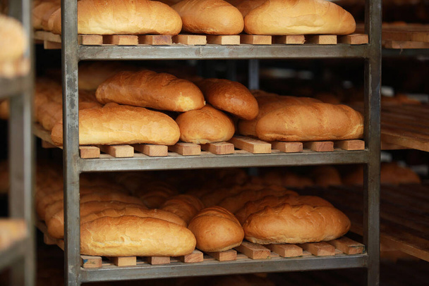 gebakken vers brood op de plank. broodjes uit de oven. Brood bakken. Vervoer van het bakken. Suikerwerk. - Foto, afbeelding