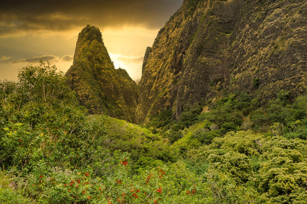 Iao Valley is a lush, stream-cut valley in West Maui, Hawaii, located west of Wailuku. a tourist location. a National Natural Landmark. Hawaiian Islands - Photo, Image