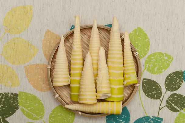 Japanese cuisine - Raw bamboo shoot peeled in a woven bamboo tray. Isolated on floral background. Top view. Close-up. - Photo, Image