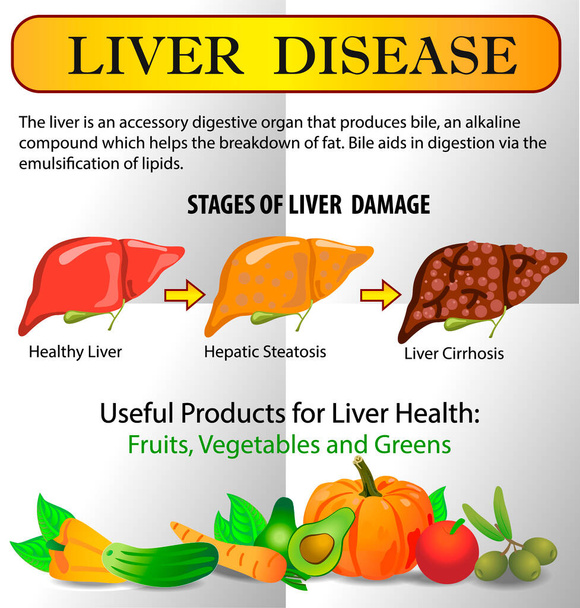 Infografías de enfermedades hepáticas. Alimentos saludables. concepto sano hígado con la medicina historia clínica ciencia vector ilustración
 - Vector, imagen
