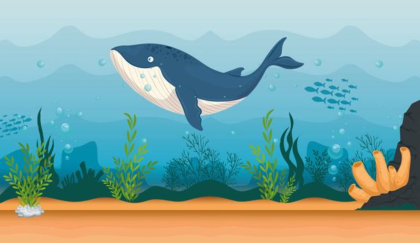 Okyanustaki mavi balina deniz hayvanı, deniz dünyası sakini, tatlı sualtı yaratığı, habitat denizcisi, tropik deniz altı faunası - Vektör, Görsel
