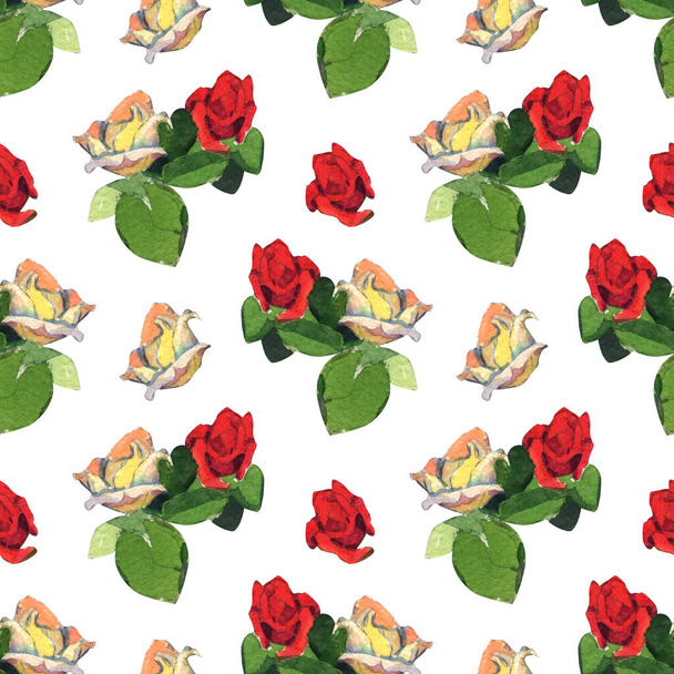 Seamless pattern with colorful summer  flowers isolated on white background. Stock illustration of hand drawn watercolor with roses. - Photo, image