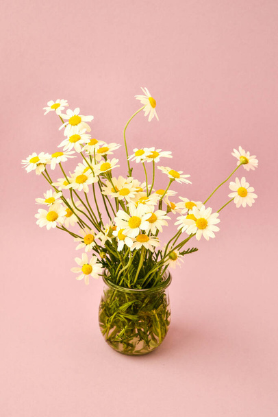 beautiful bouquet of daisies in glass vase on purple background, deep shadows - Foto, afbeelding