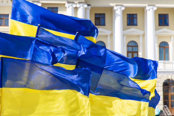 Δημοκρατία και ανεξαρτησία της Ουκρανίας Ευρωπαϊκή χώρα εθνικές κίτρινες και μπλε σημαίες εξελίσσεται σε άνεμο με κύρια κυβέρνηση κτίριο φόντο ορόσημο άποψη - Φωτογραφία, εικόνα
