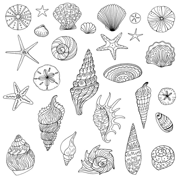 大量の手描きの貝殻が - ベクター画像