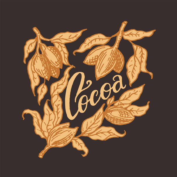 Cocoa leaves. Vintage badge or logo for t-shirts, typography, shop or signboards. Hand Drawn engraved sketch. Vector illustration. - Вектор,изображение
