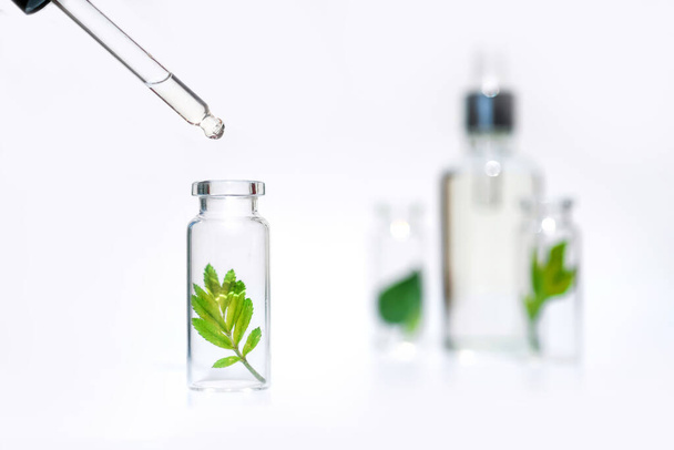 Bottiglie con erbe per oli essenziali naturali e cosmetici biologici sullo sfondo bianco. Concetto di un laboratorio ecologico per la produzione di prodotti naturali, integratori, cosmetici
 - Foto, immagini