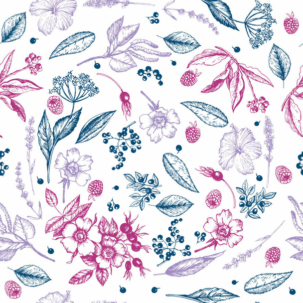 Graphic color vintage pattern  with botanical sketches - Wektor, obraz