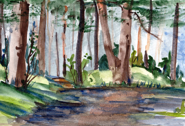 watercolor drawing a travel sketch pine forest permeated by sunlight. High quality illustration - Valokuva, kuva
